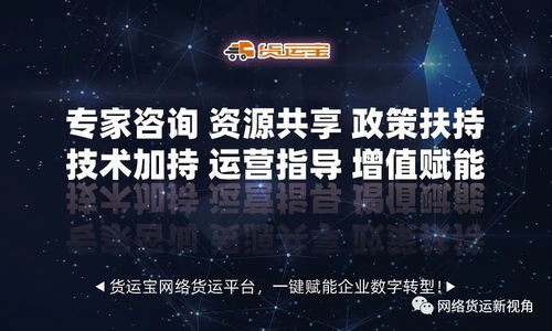 網絡貨運時代 軟件技術與信息咨詢服務的雙輪驅動